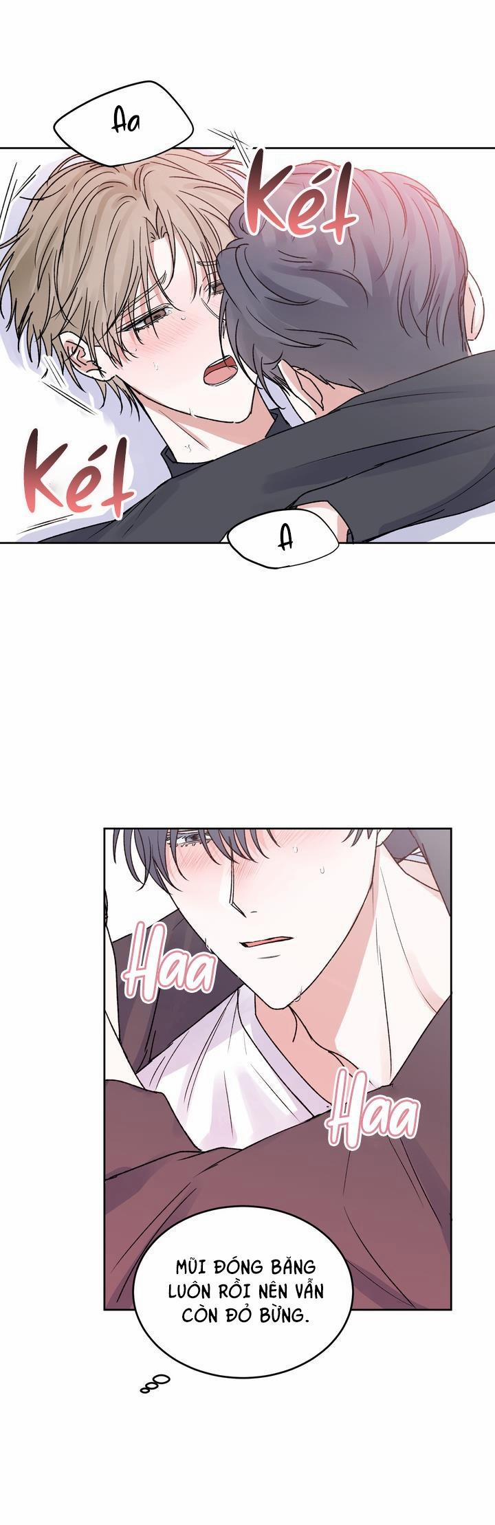 Thú Cưng Damdang 2.6 BẢO HỘ END trang 10