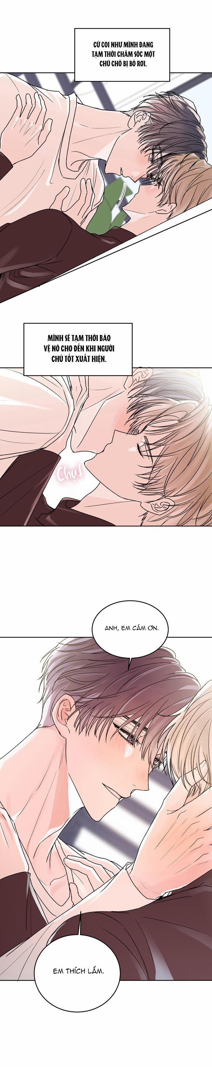 Thú Cưng Damdang 2.6 BẢO HỘ END trang 15