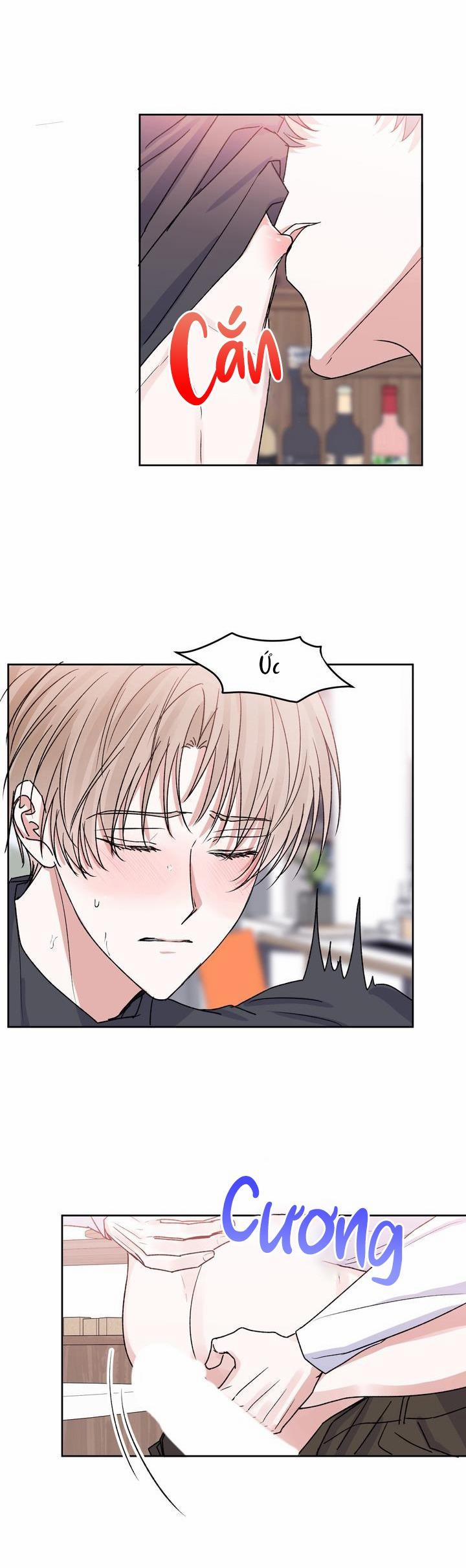 Thú Cưng Damdang 2.6 BẢO HỘ END trang 8