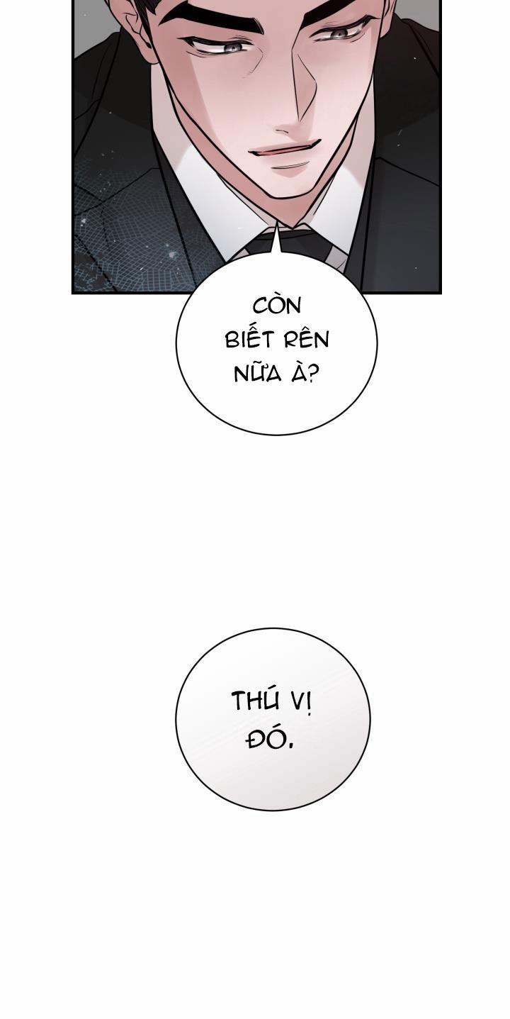 Thú Cưng Damdang 3.1 PHOTOTAXIS 1 trang 33