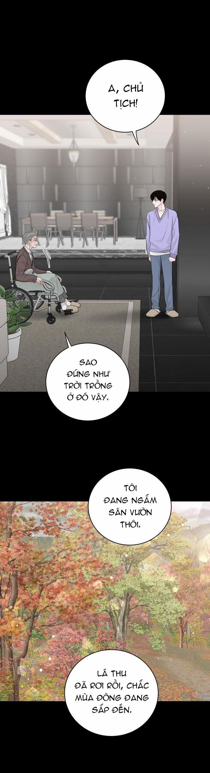 Thú Cưng Damdang 3.2 PHOTOTAXIS 2 trang 12