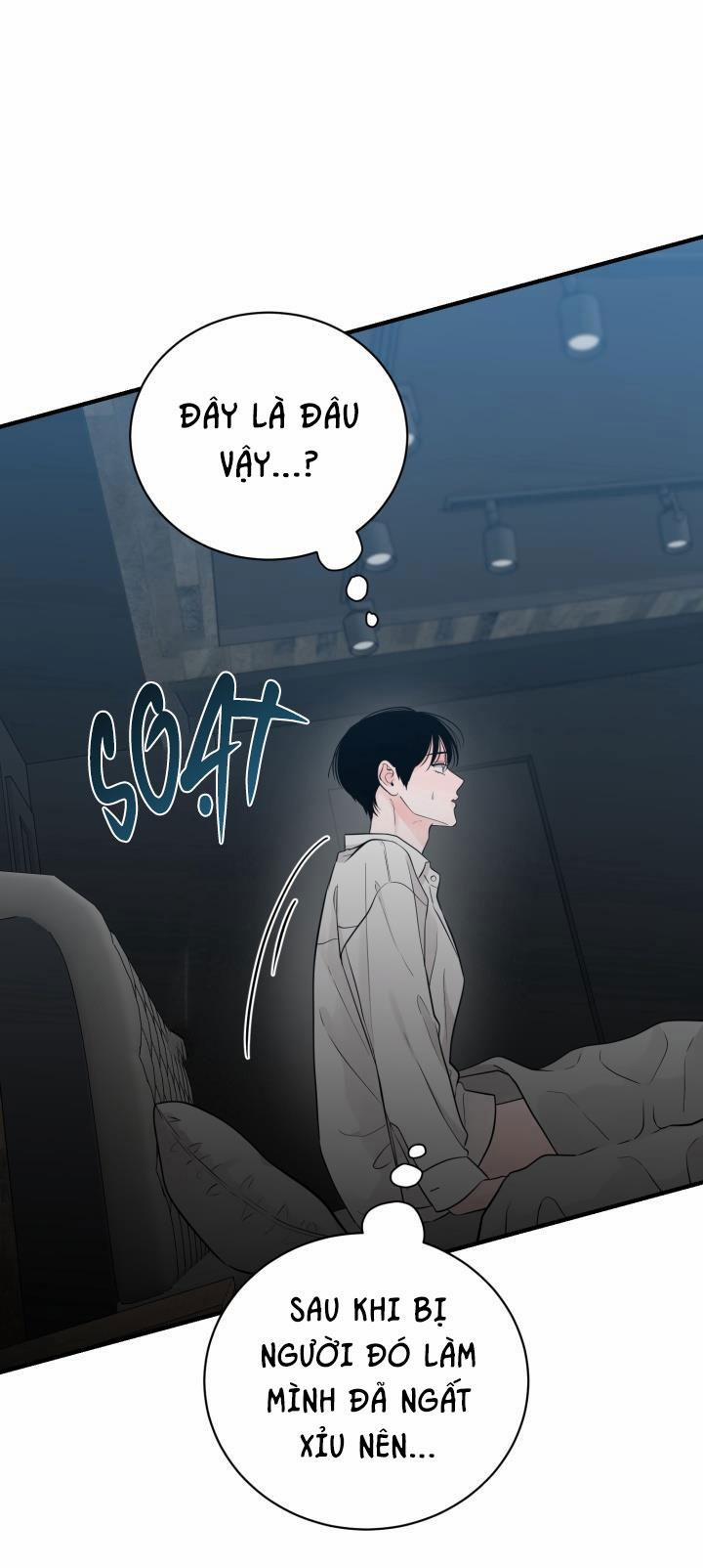 Thú Cưng Damdang 3.2 PHOTOTAXIS 2 trang 17