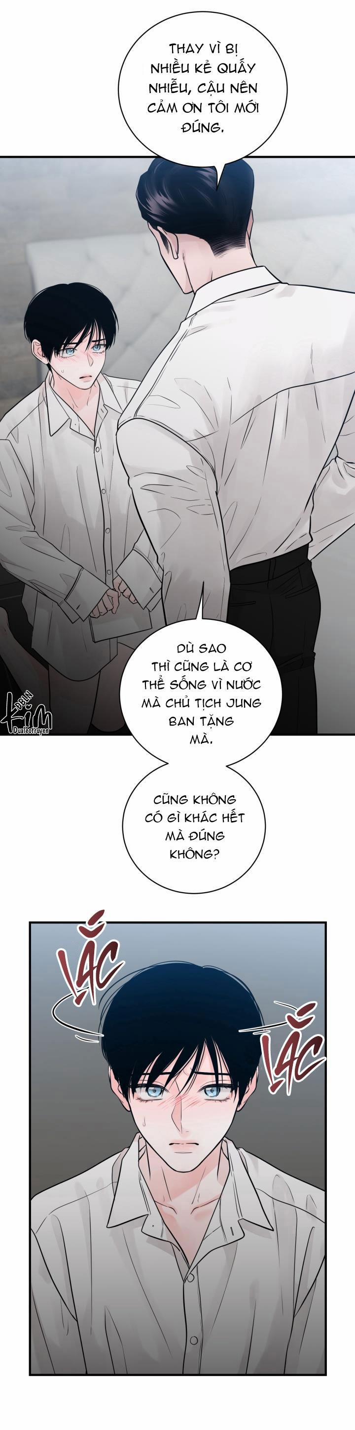 Thú Cưng Damdang 3.2 PHOTOTAXIS 2 trang 25