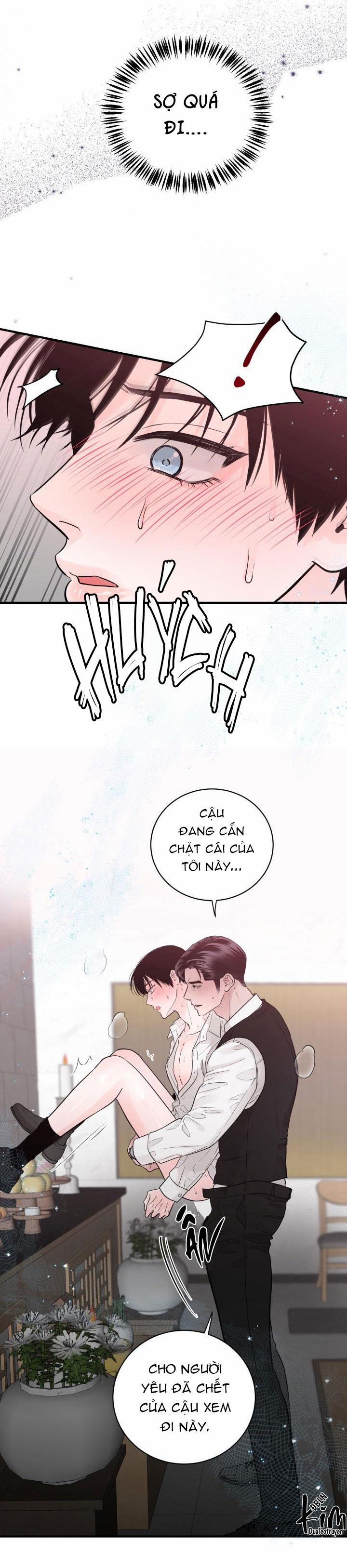 Thú Cưng Damdang 3.2 PHOTOTAXIS 2 trang 4