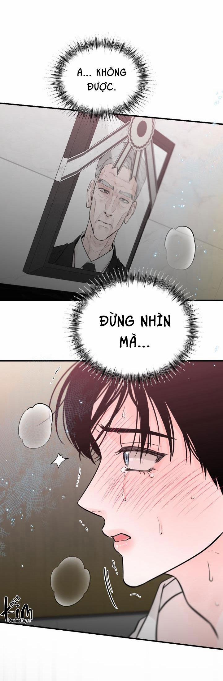 Thú Cưng Damdang 3.2 PHOTOTAXIS 2 trang 5