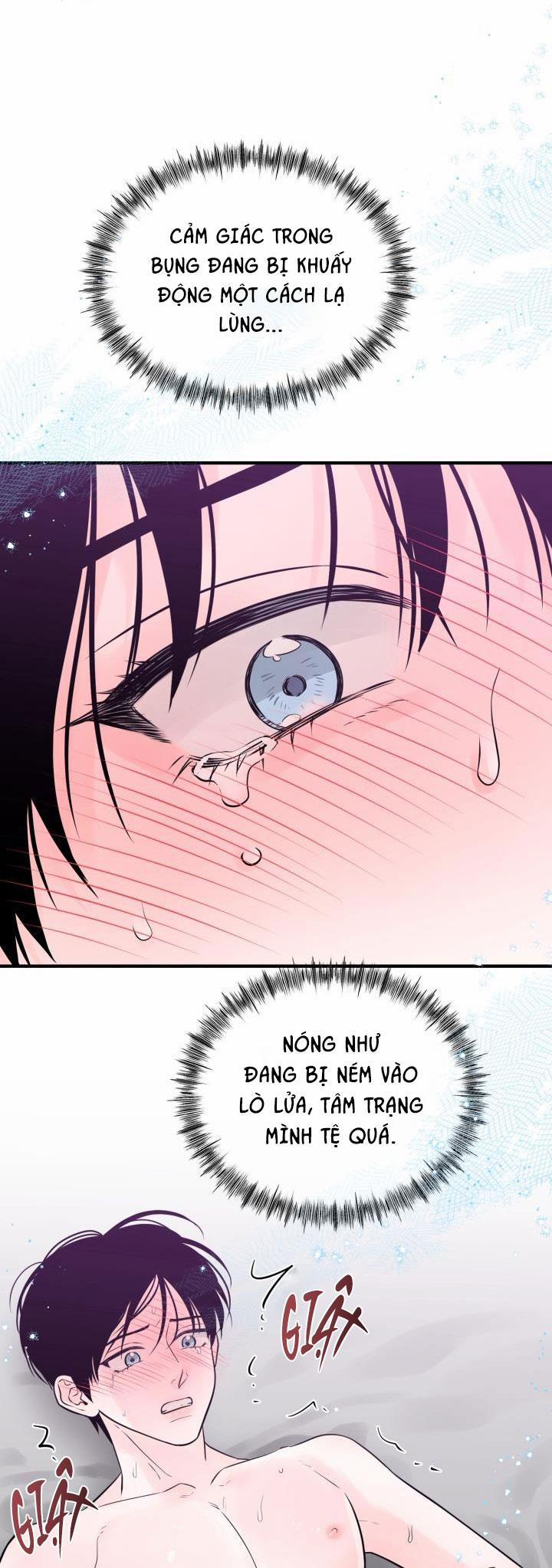 Thú Cưng Damdang 3.3 PHOTOTAXIS 3 trang 16