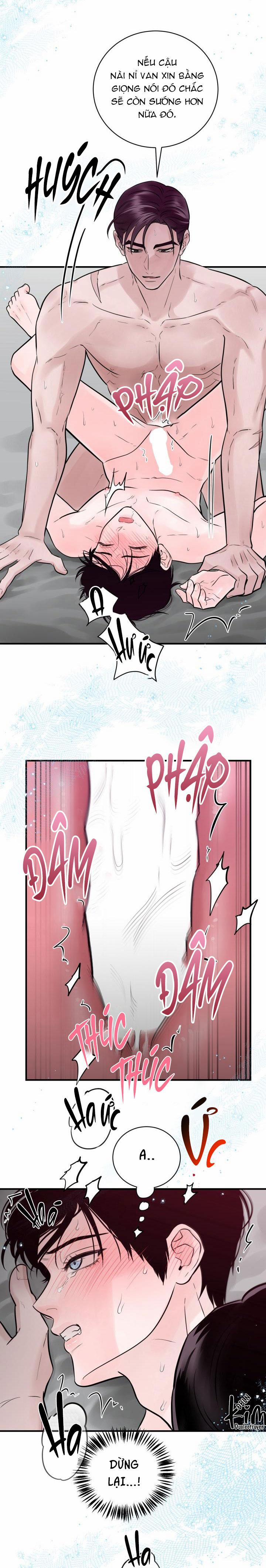 Thú Cưng Damdang 3.3 PHOTOTAXIS 3 trang 20