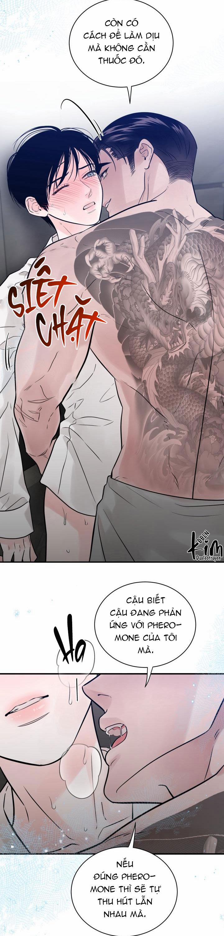 Thú Cưng Damdang 3.3 PHOTOTAXIS 3 trang 3