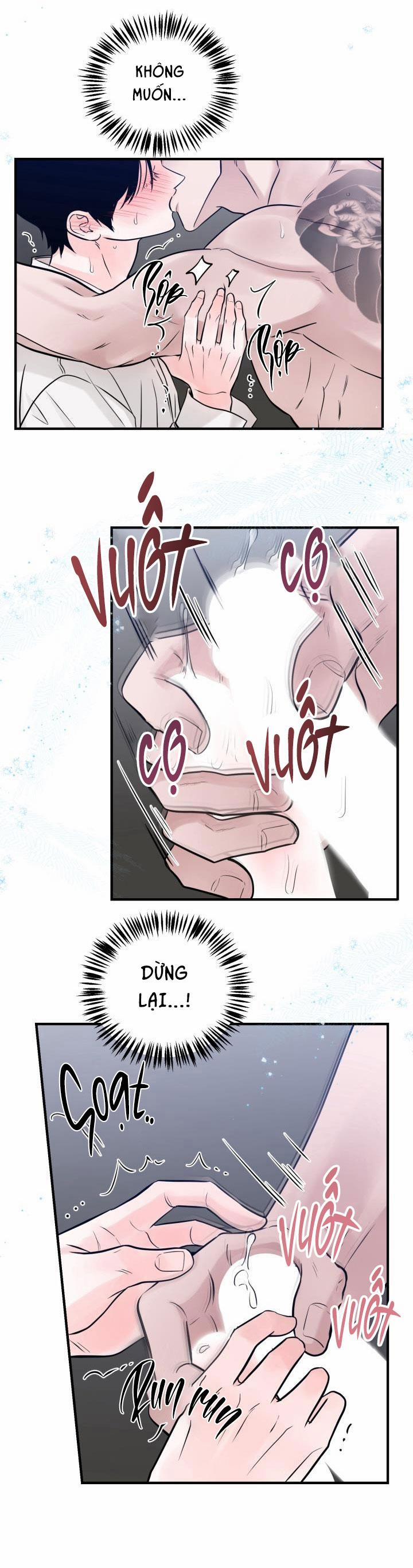 Thú Cưng Damdang 3.3 PHOTOTAXIS 3 trang 8