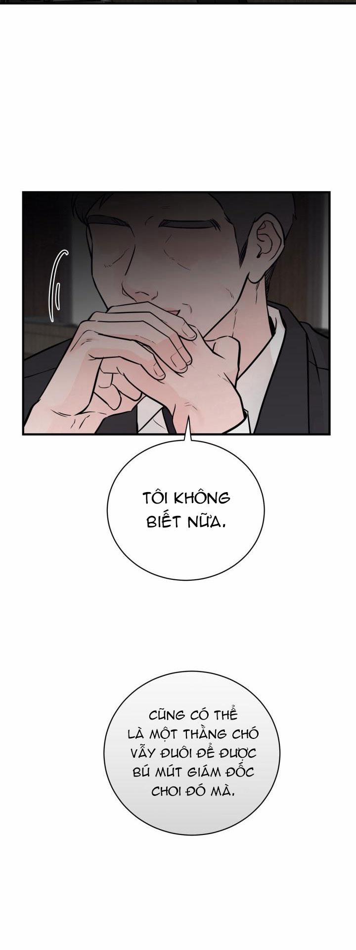 Thú Cưng Damdang 3.5 PHOTOTAXIS END trang 34