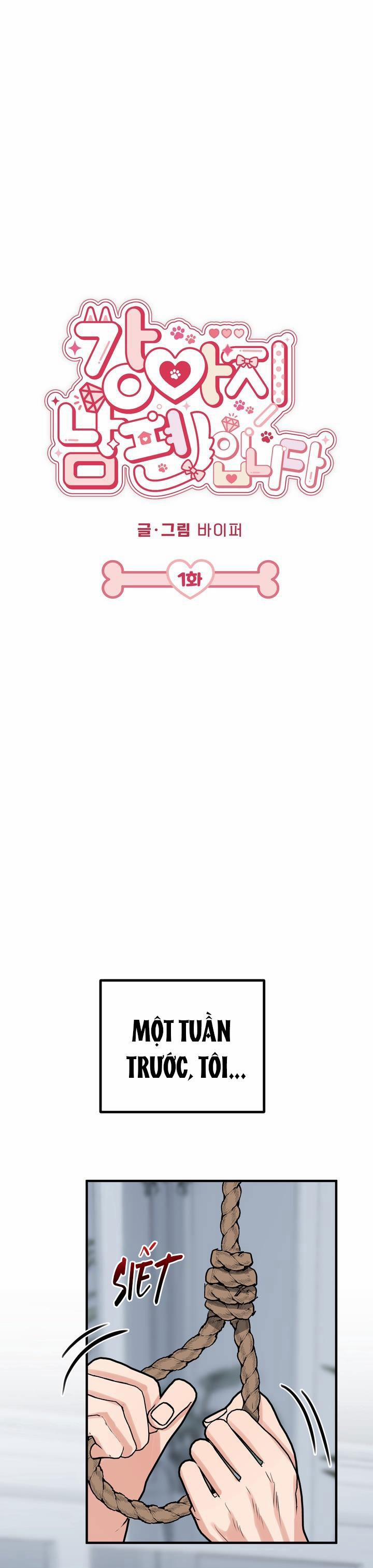 Thú Cưng Damdang 4.1 CK LÀ CÚN CON 1 trang 11