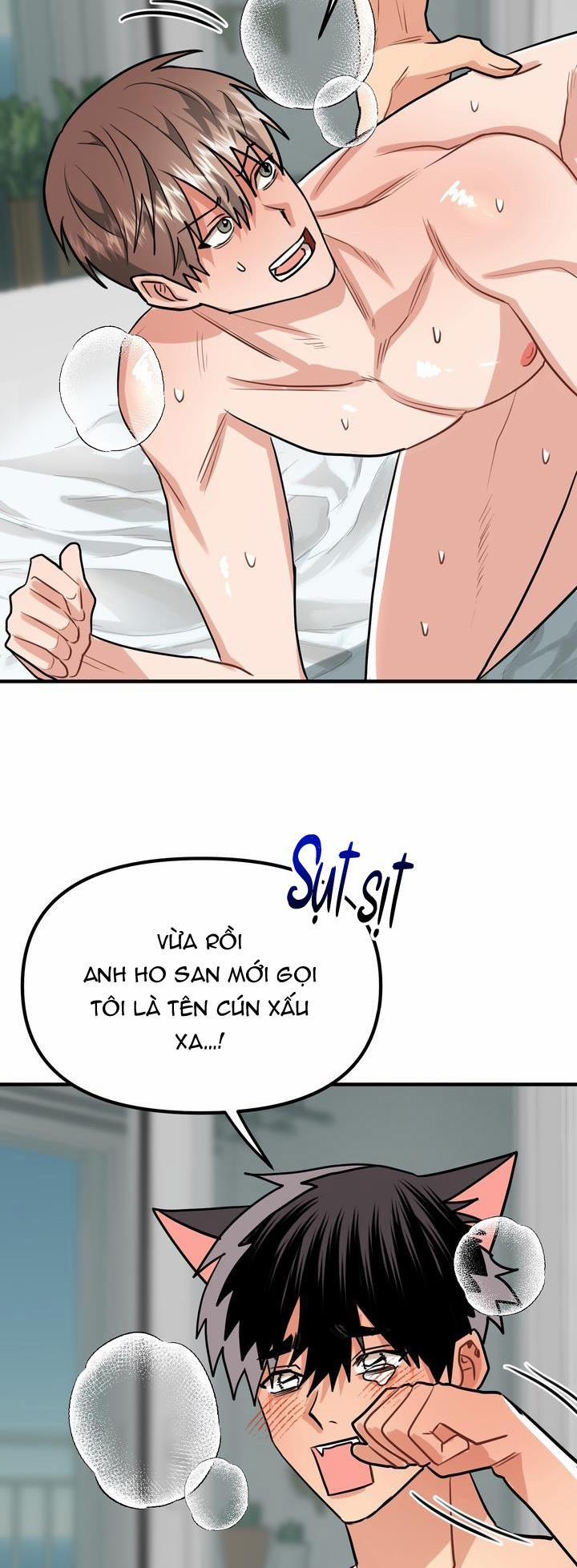 Thú Cưng Damdang 4.4 CK LÀCÚNCON END trang 25