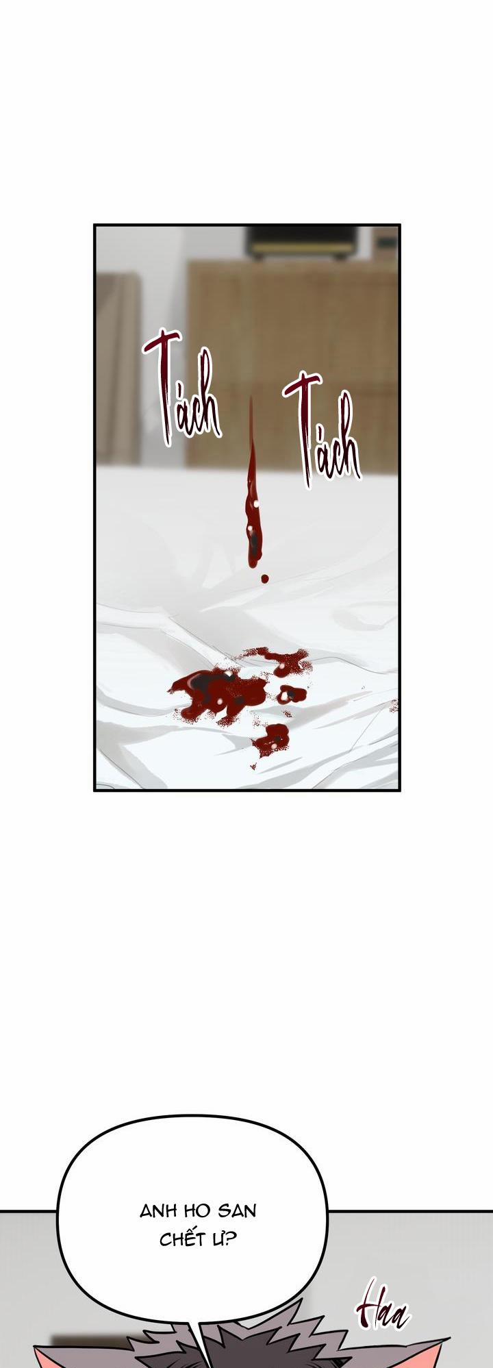 Thú Cưng Damdang 4.4 CK LÀCÚNCON END trang 5