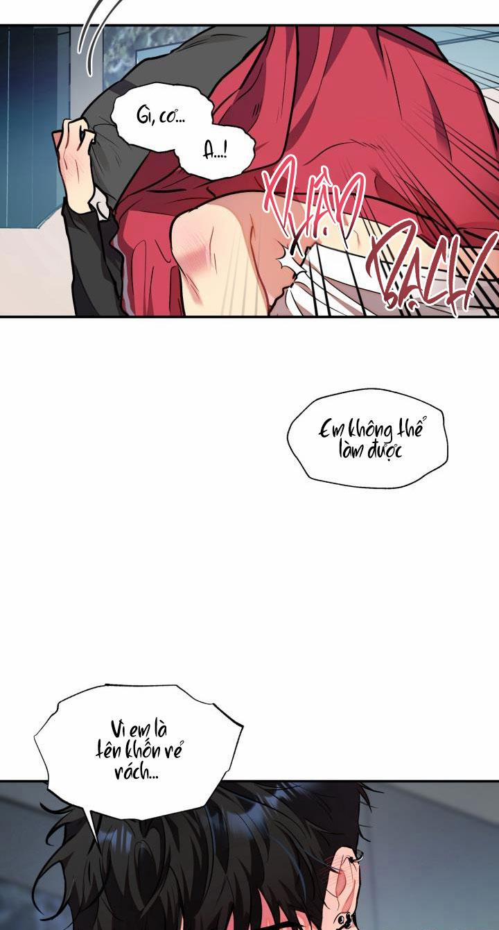 Thú Cưng Damdang 6.1 LÒ HƠI 1 trang 18