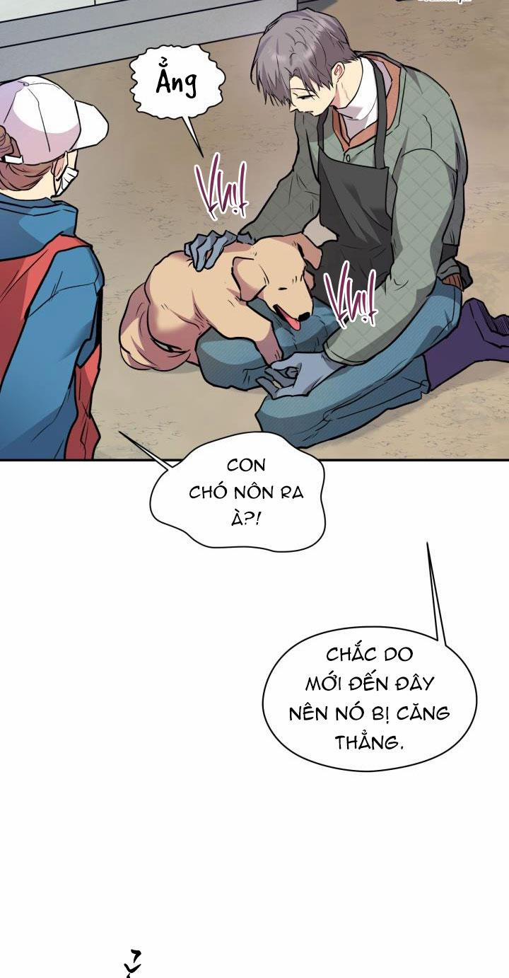 Thú Cưng Damdang 6.1 LÒ HƠI 1 trang 2