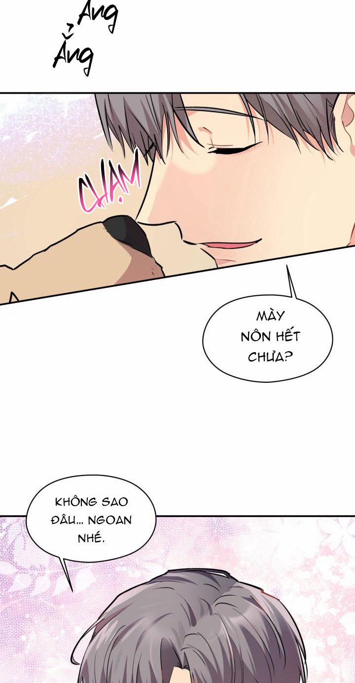 Thú Cưng Damdang 6.1 LÒ HƠI 1 trang 3