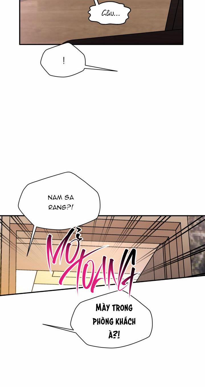 Thú Cưng Damdang 6.1 LÒ HƠI 1 trang 47