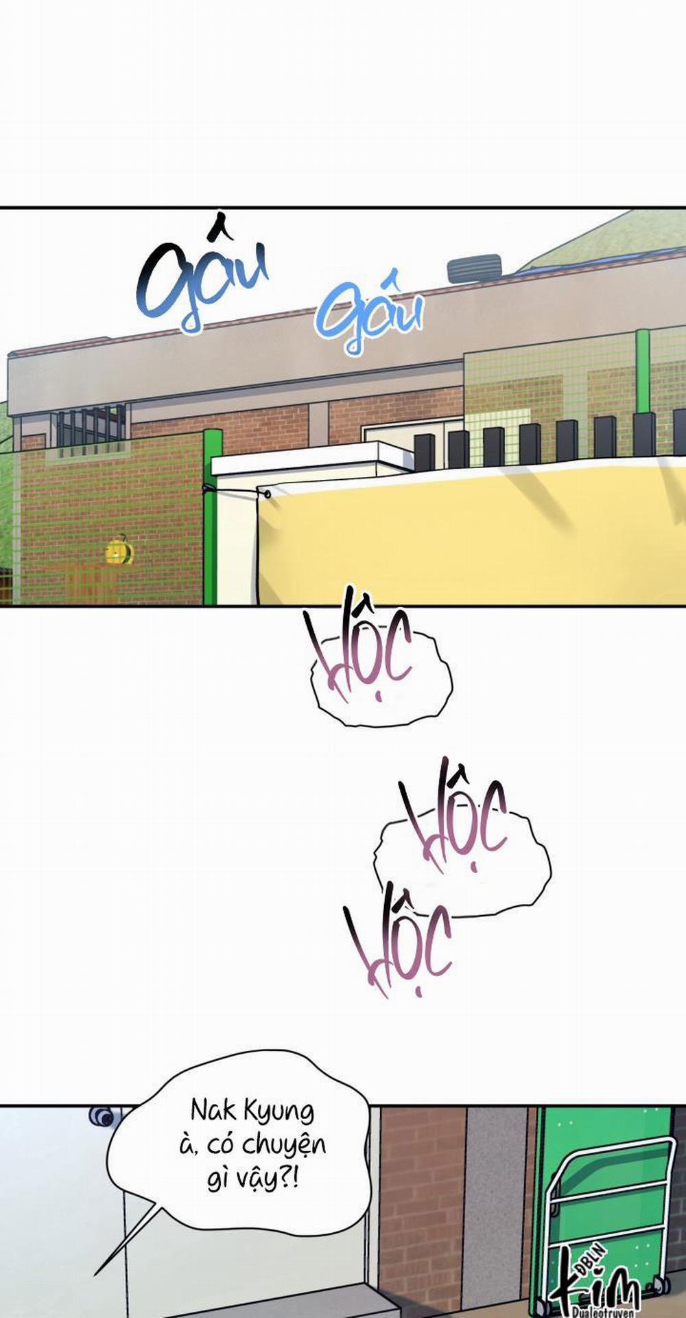 Thú Cưng Damdang 6.1 trang 1