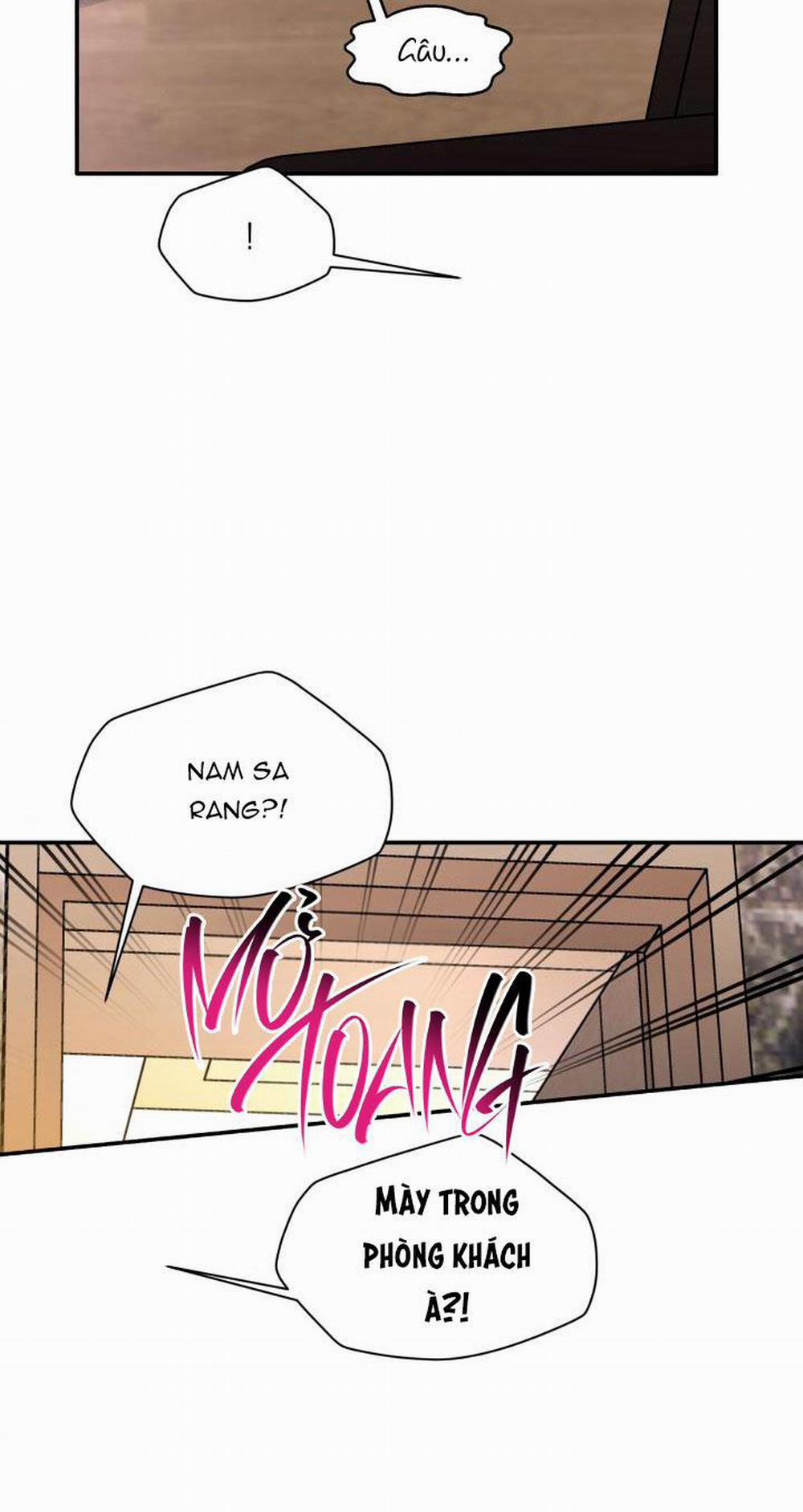 Thú Cưng Damdang 6.1 trang 47