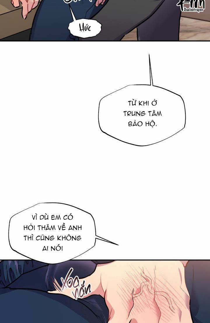 Thú Cưng Damdang 6.2 LÒ HƠI 2 trang 58