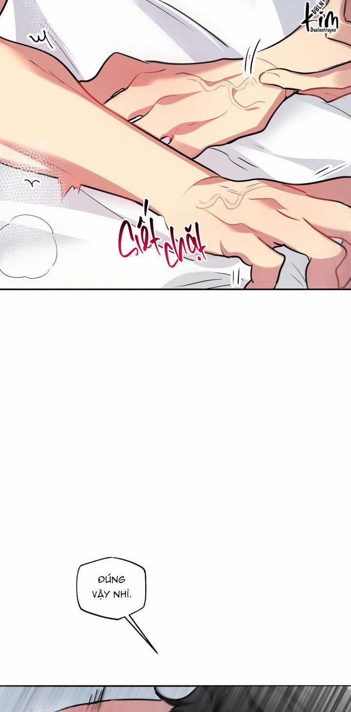 Thú Cưng Damdang 6.5 LÒ HƠI END trang 10