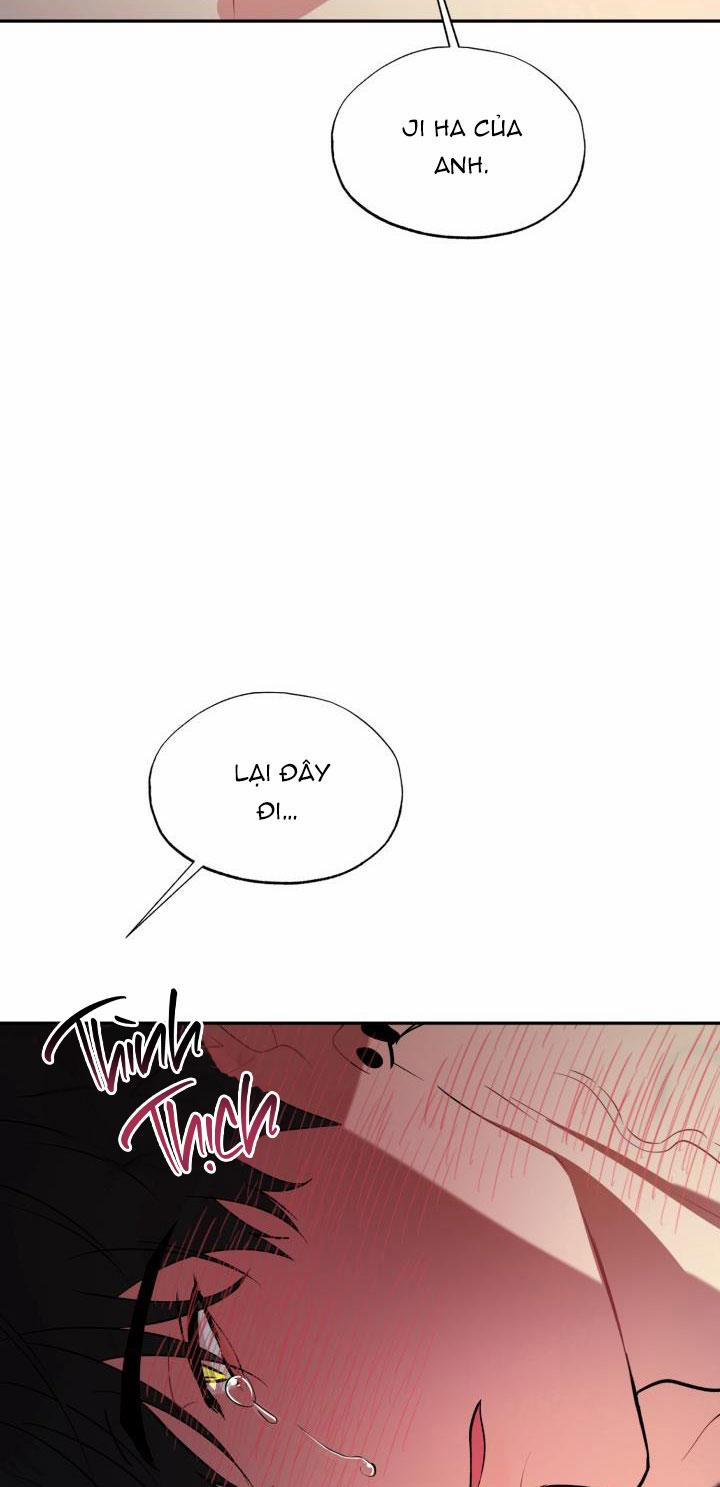 Thú Cưng Damdang 6.5 LÒ HƠI END trang 59