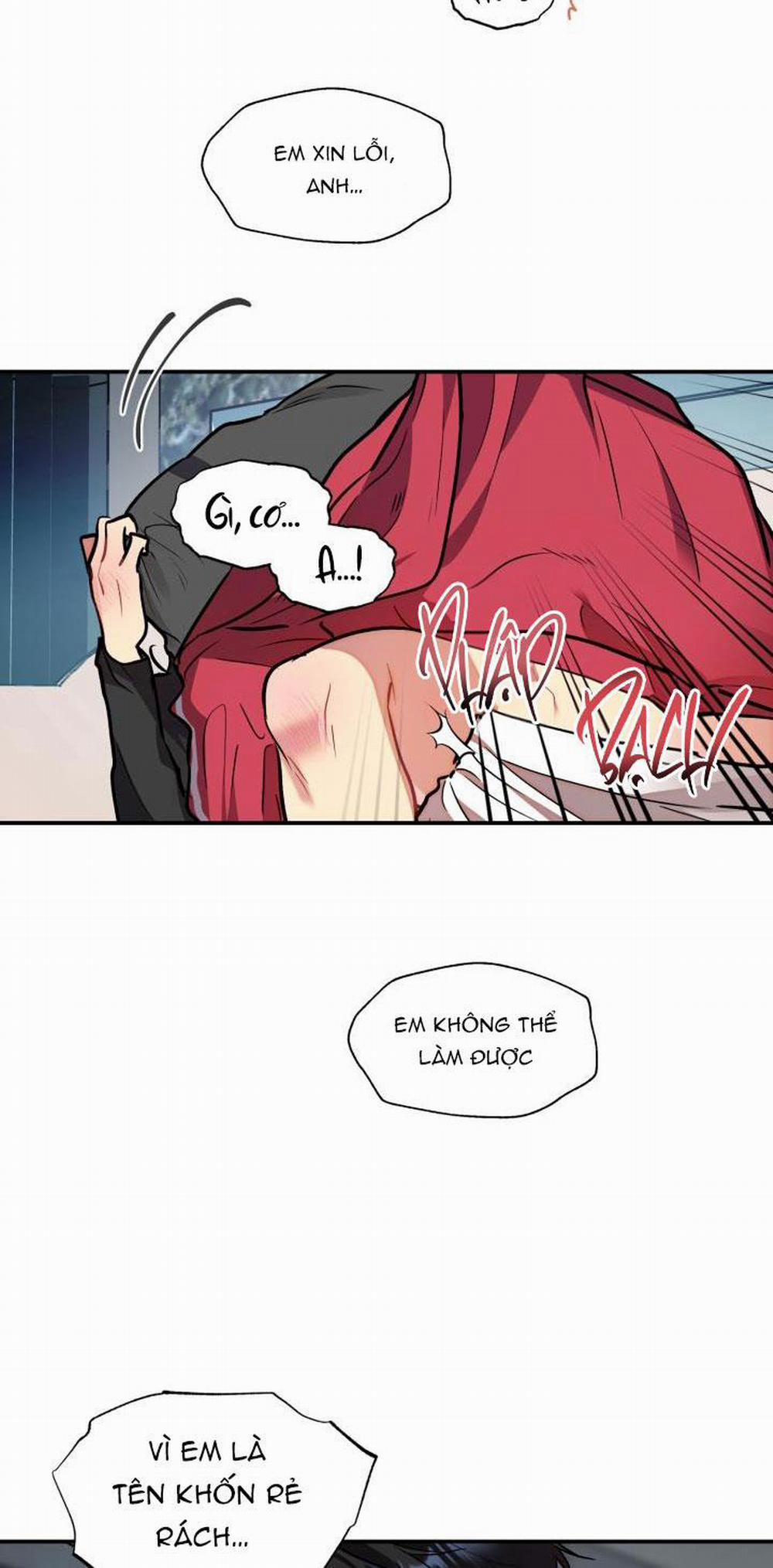 Thú Cưng Damdang 6.5 trang 2