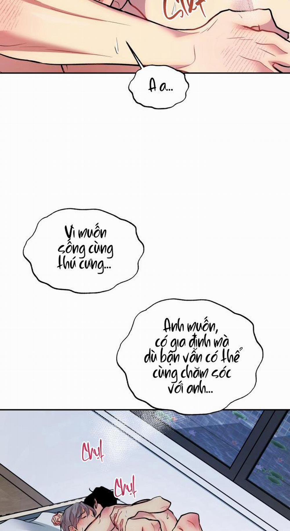 Thú Cưng Damdang 6.5 trang 41