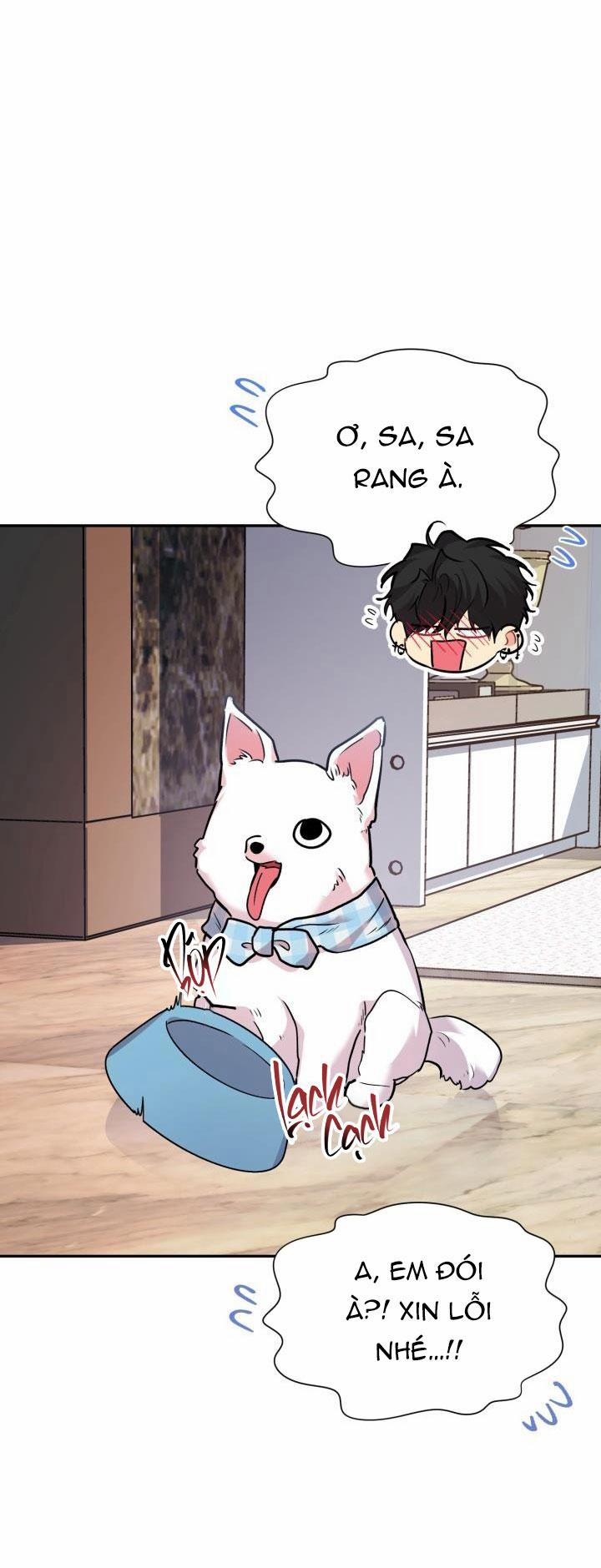 Thú Cưng Damdang 6.6 LÒ HƠI nt1 trang 24