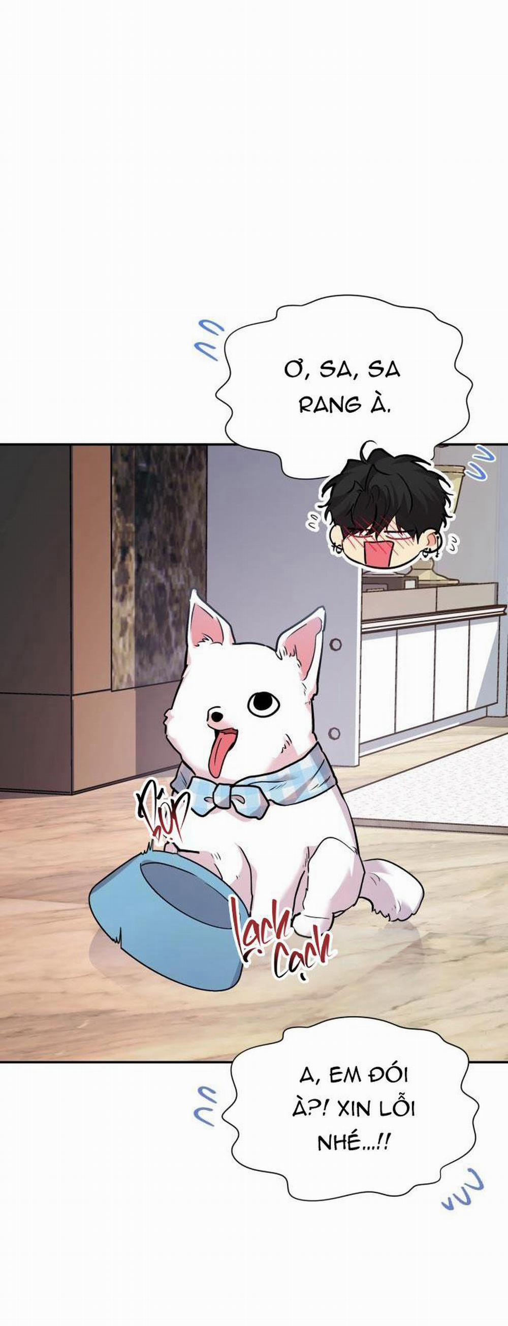 Thú Cưng Damdang 6.6 trang 24