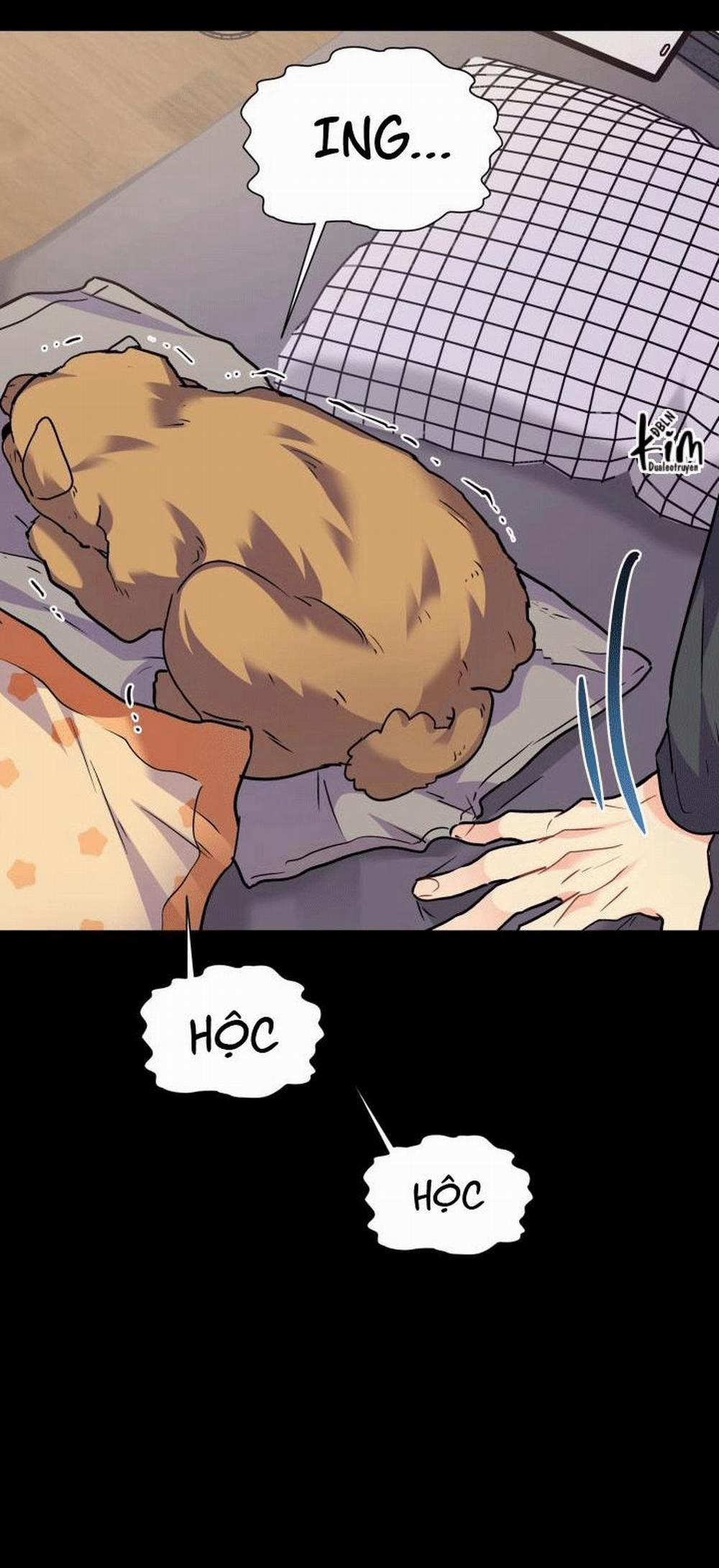 Thú Cưng Damdang 6.7 trang 7