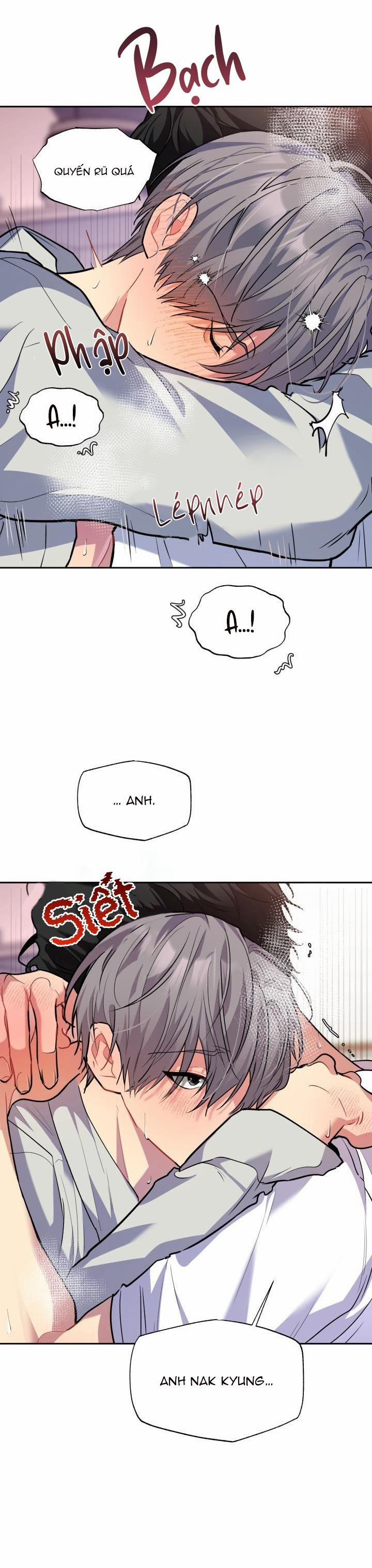 Thú Cưng Damdang 6.8 LÒ HƠI nt3 trang 26