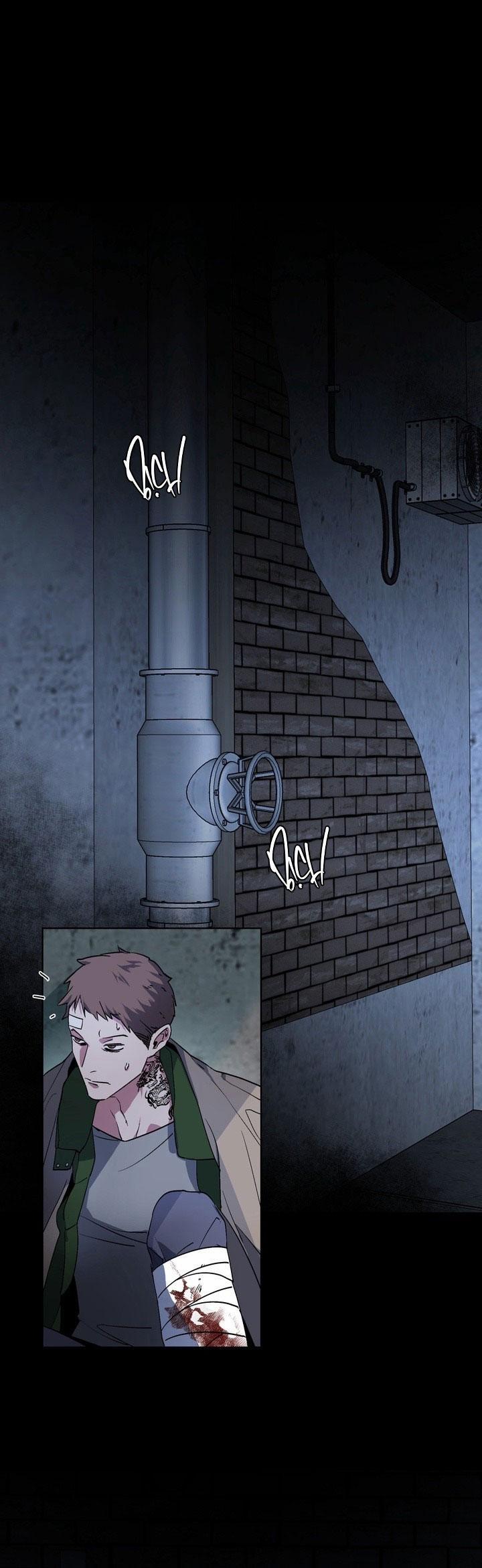 Thú Cưng Damdang 7.5 căn phòng nt5 trang 1