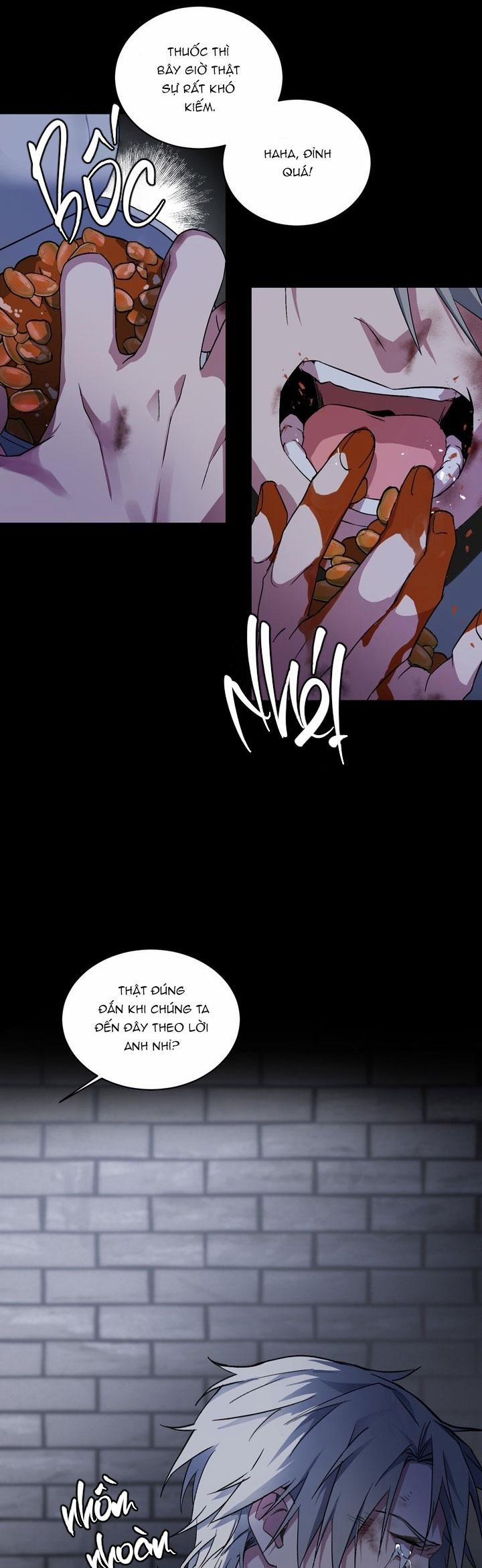 Thú Cưng Damdang 7.5 căn phòng nt5 trang 4