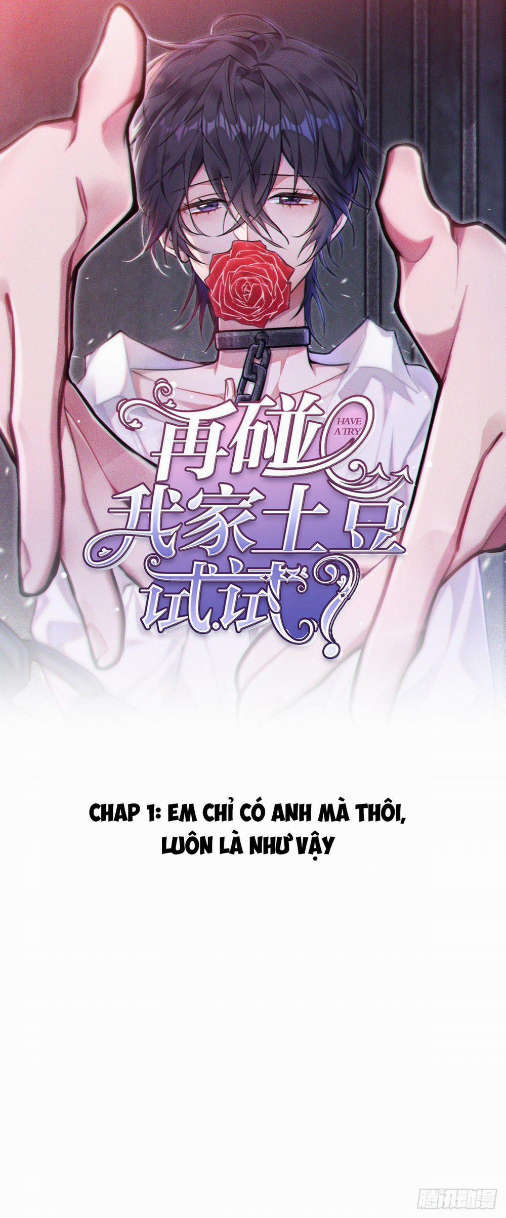 Thử Động Vào Khoai Tây Nhà Tôi Xem? 1 trang 0