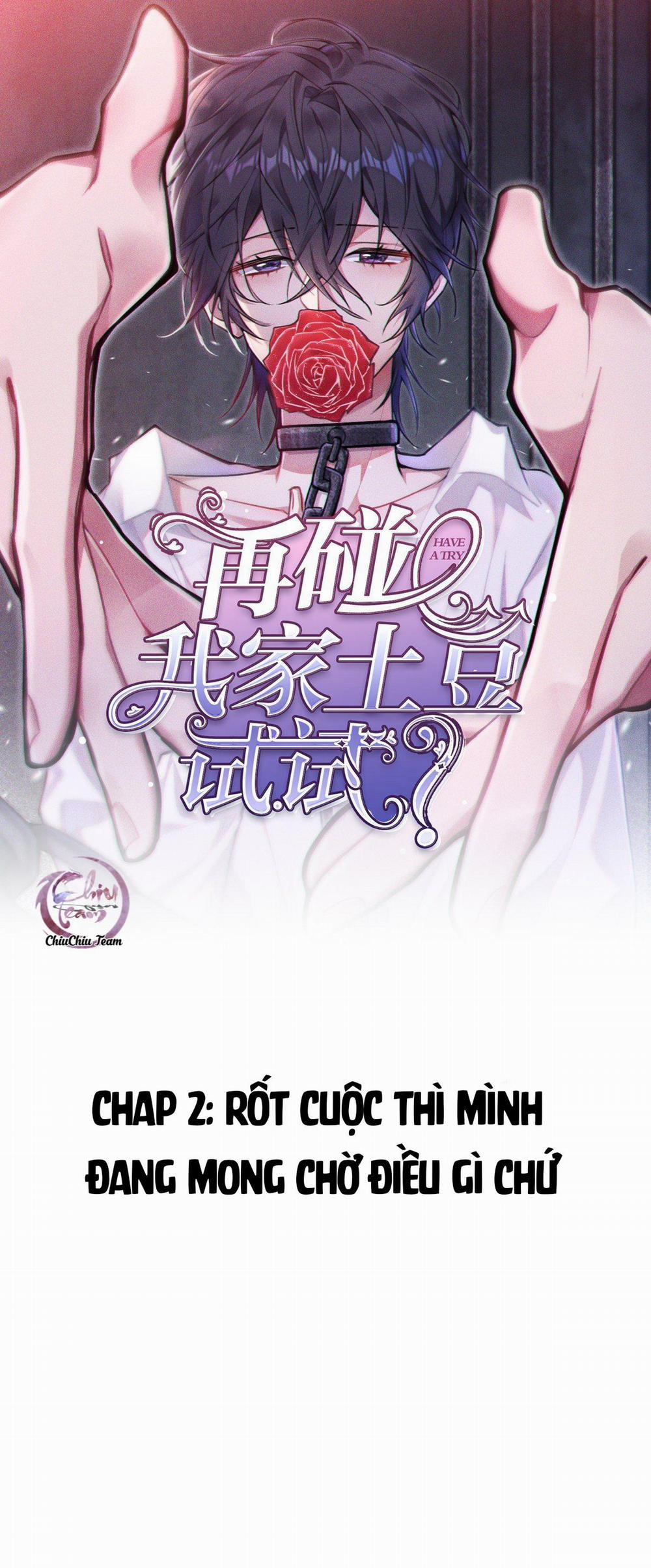 Thử Động Vào Khoai Tây Nhà Tôi Xem? 2 trang 0