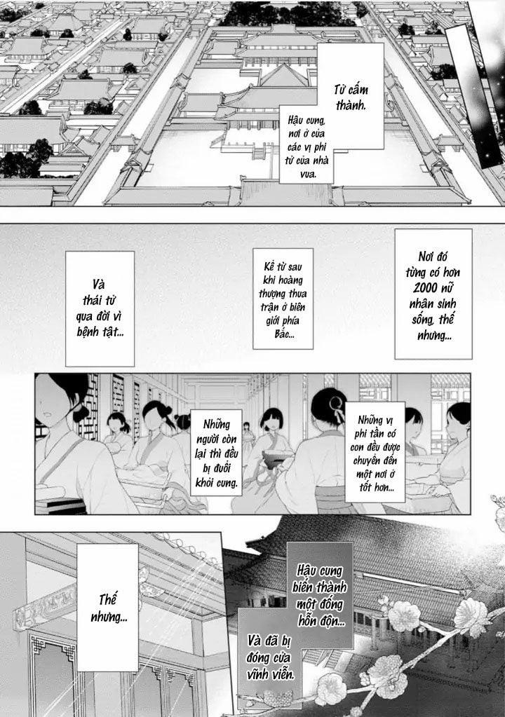 Thứ Hạng Của Ta Tại Hậu Cung Hoàng Gia Là 133 1.1 trang 13