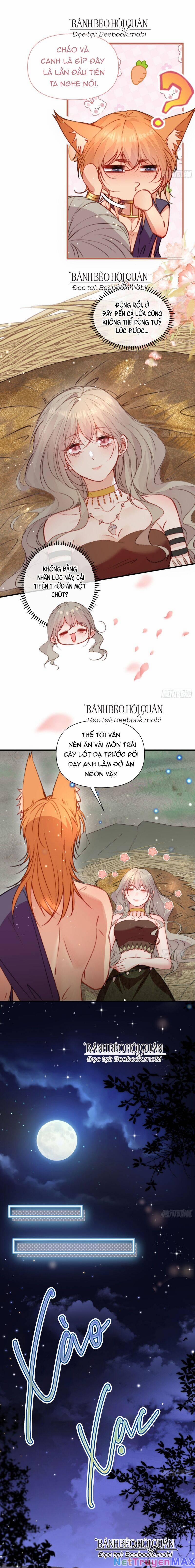 Thú Thế Ngọt Sủng, Tôi Ở Dị Giới Làm Vũ Thần 15 trang 13