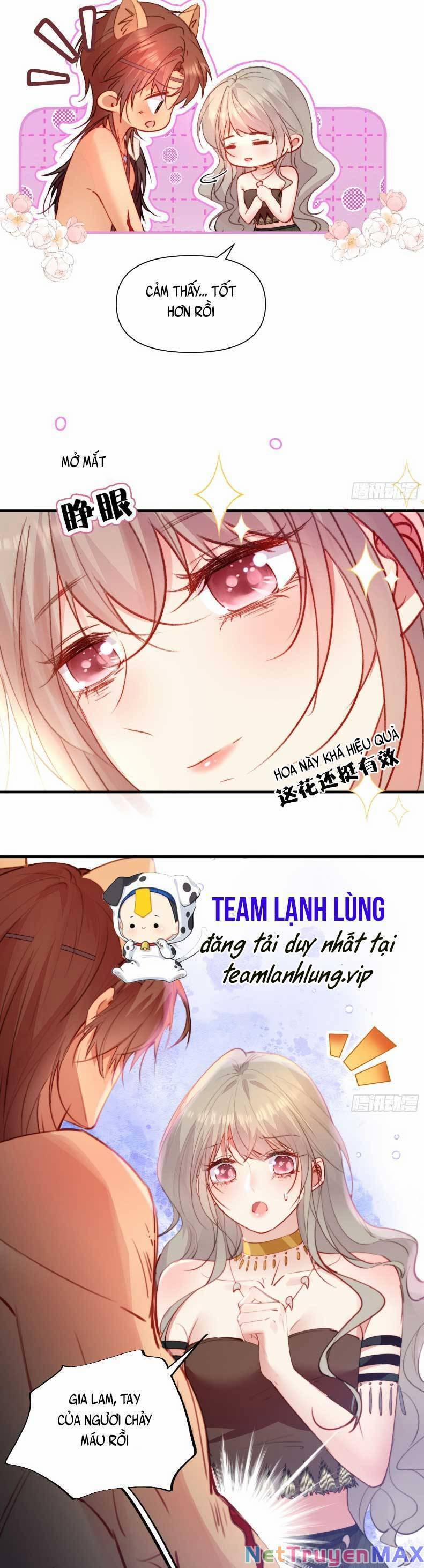 Thú Thế Ngọt Sủng, Tôi Ở Dị Giới Làm Vũ Thần 16 trang 11