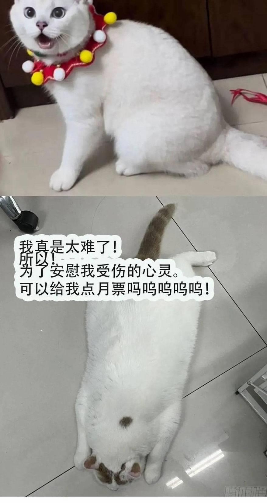 Thú Thế Ngọt Sủng, Tôi Ở Dị Giới Làm Vũ Thần 30 trang 33