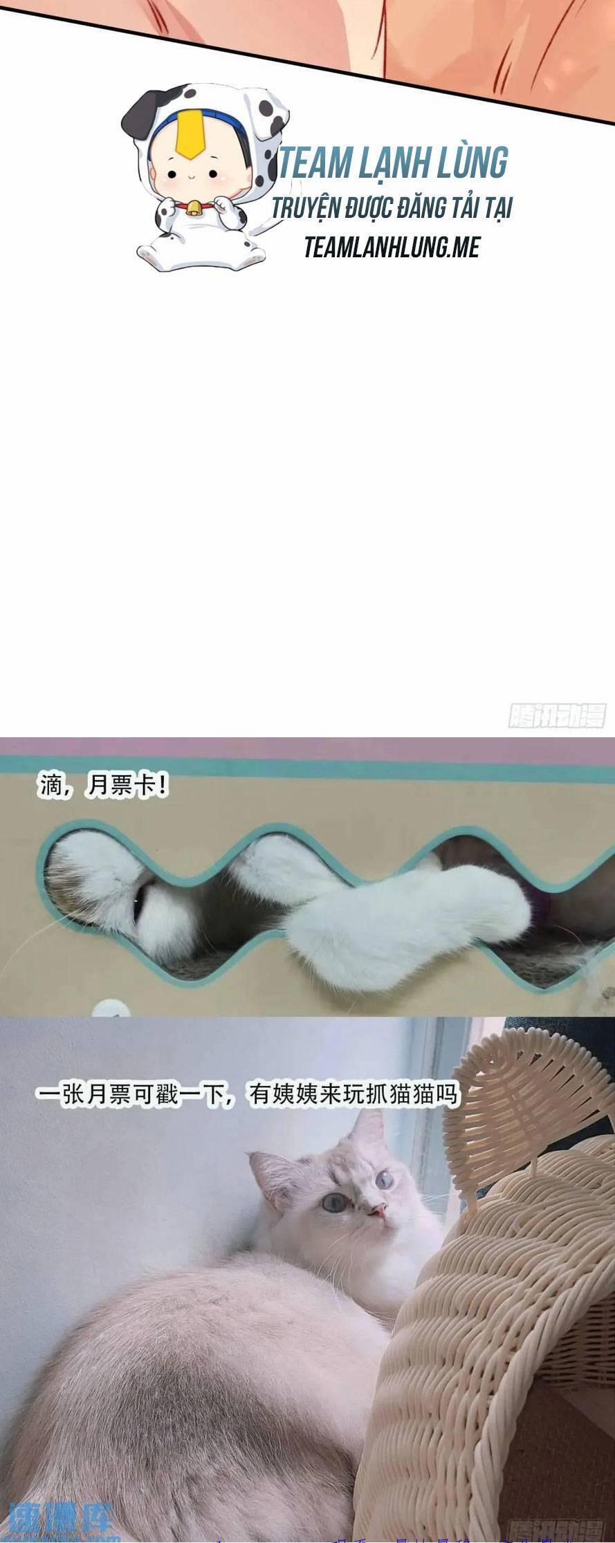 Thú Thế Ngọt Sủng, Tôi Ở Dị Giới Làm Vũ Thần 38 trang 33