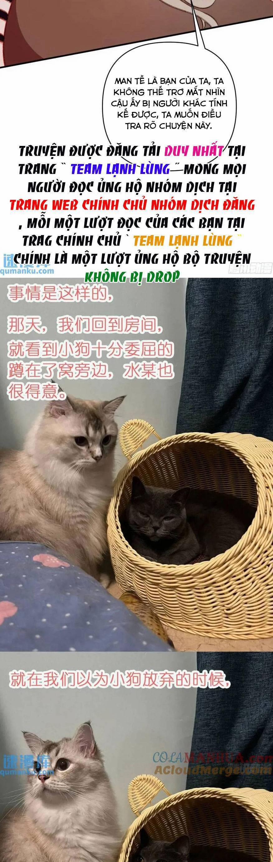 Thú Thế Ngọt Sủng, Tôi Ở Dị Giới Làm Vũ Thần 40 trang 28