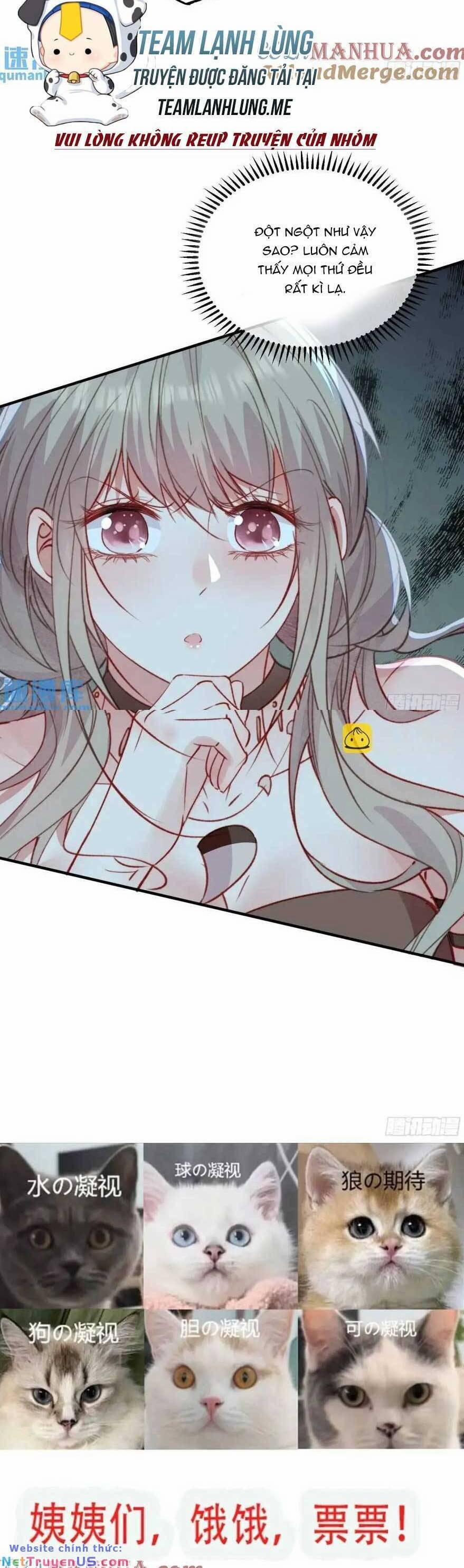 Thú Thế Ngọt Sủng, Tôi Ở Dị Giới Làm Vũ Thần 49 trang 26