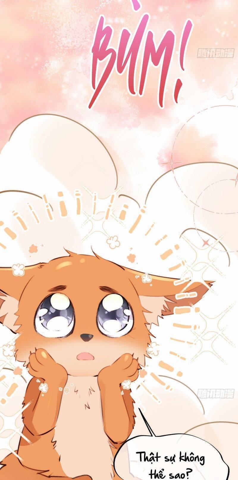 Thú Thế Ngọt Sủng, Tôi Ở Dị Giới Làm Vũ Thần 8 trang 17