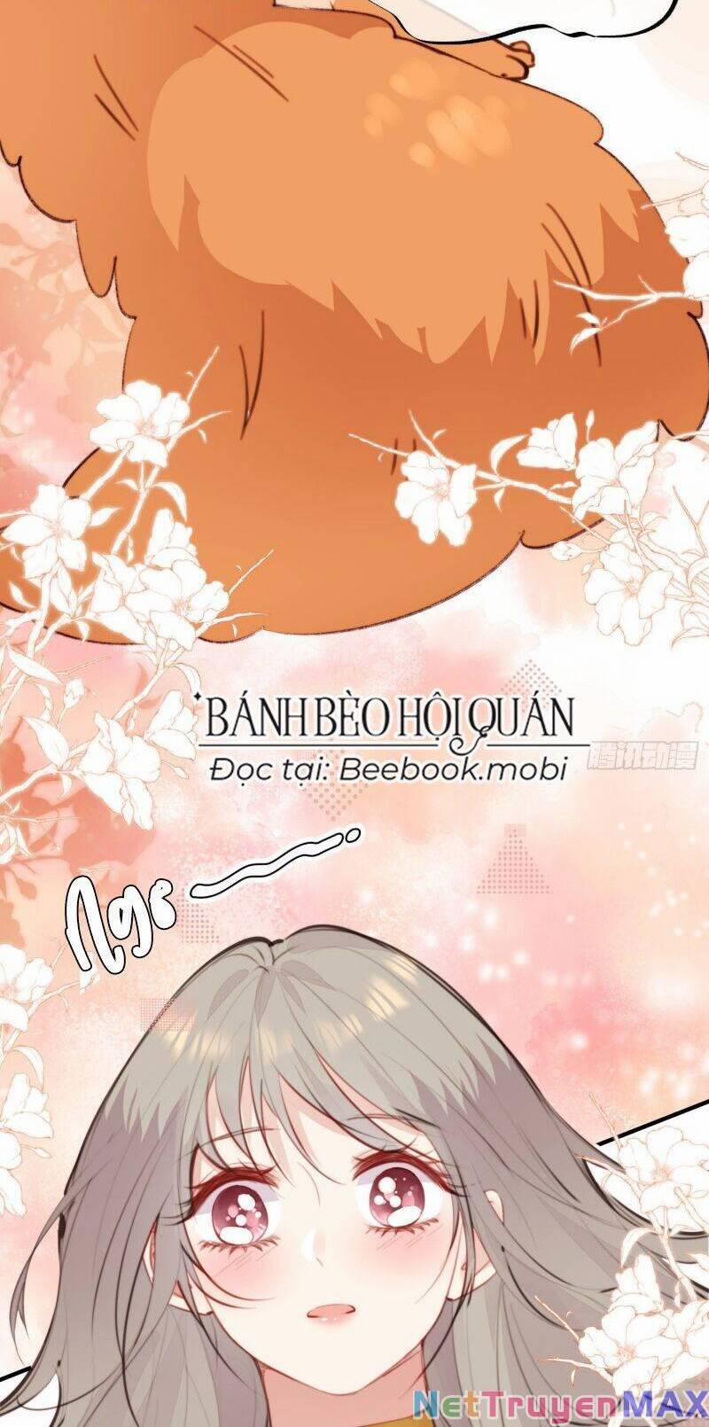 Thú Thế Ngọt Sủng, Tôi Ở Dị Giới Làm Vũ Thần 8 trang 18