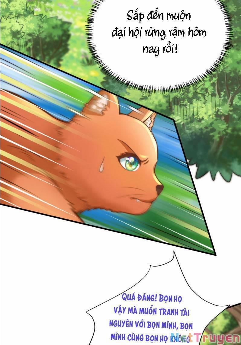 Thú Thế Nữ Vương Hôm Nay Lật Thẻ Rồi Sao ??? 2 trang 4