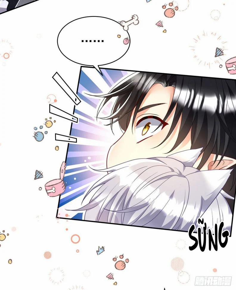 Thú Thụ Bất Thân Dẫn Sói Vào Nhà 114 trang 24