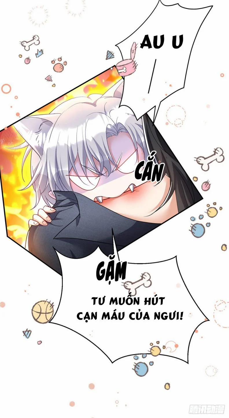 Thú Thụ Bất Thân Dẫn Sói Vào Nhà 114 trang 25