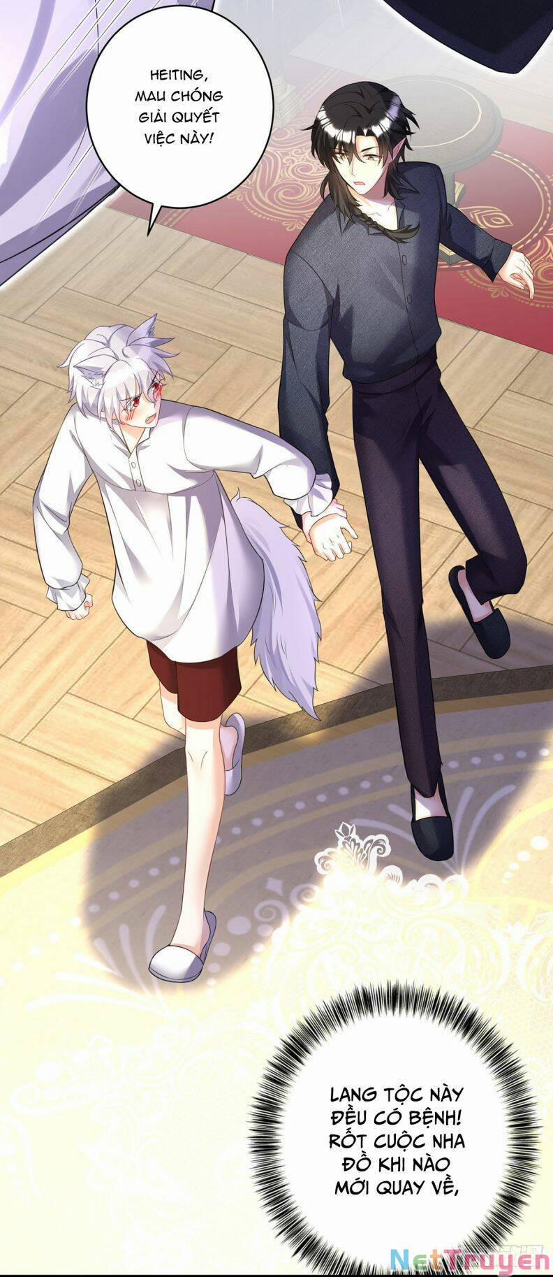 Thú Thụ Bất Thân Dẫn Sói Vào Nhà 117 trang 13