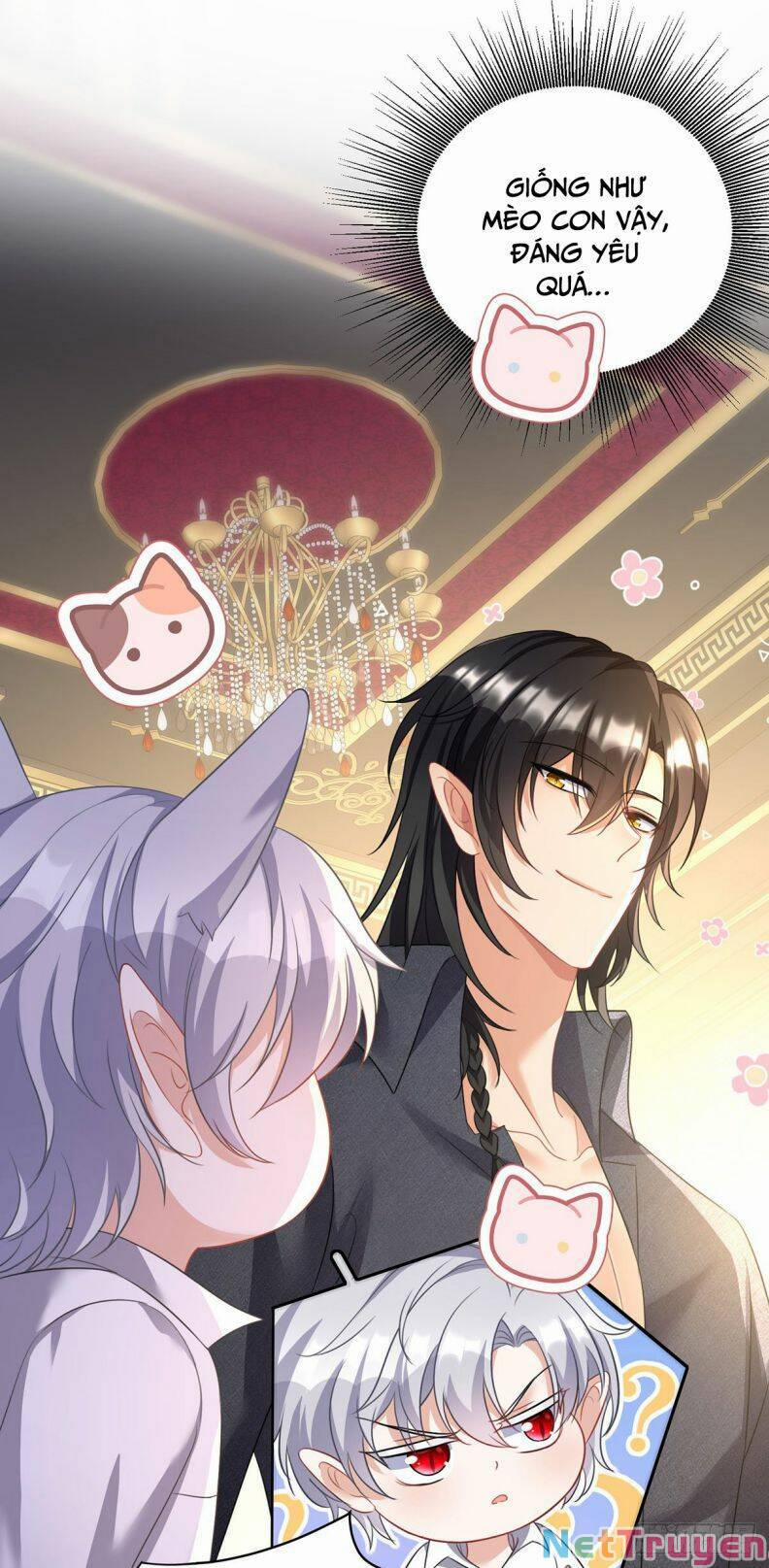 Thú Thụ Bất Thân Dẫn Sói Vào Nhà 117 trang 17